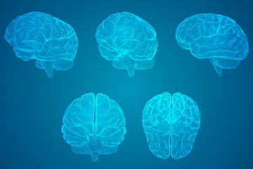 东莞1号线地铁线路