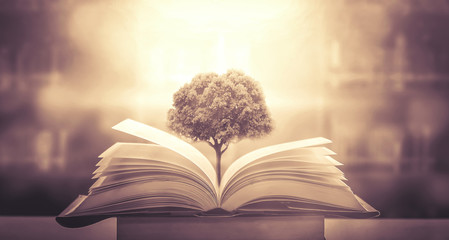 七座汽车是六年免检吗