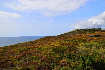 一KW=多少马力。