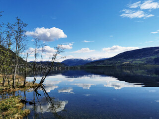 七座汽车是六年免检吗