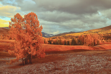 思想政治教育哲学思考
