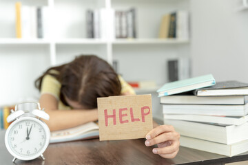 1平方千米的生活实例有哪些？