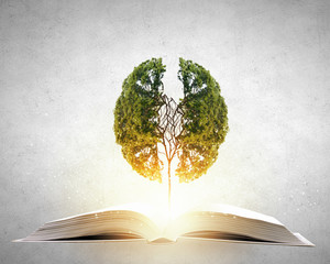 什么比猎豹的速度更快课文的多音字和主要内容