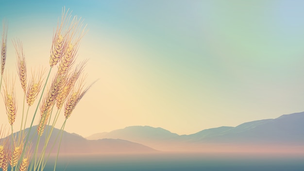 汽车 国3丶国4的标准符号是什么？