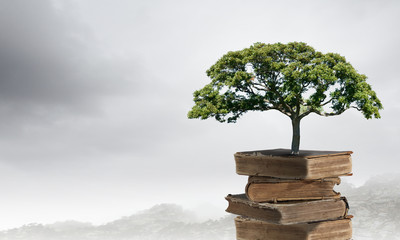 一KW=多少马力。