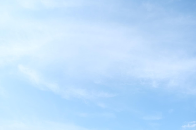 一双翅膀一个b是什么车