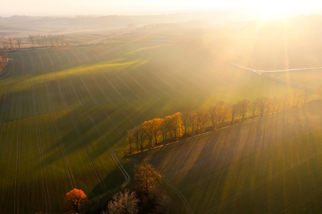 糖尿病人每顿饭怎么吃？