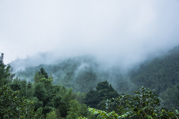一双翅膀一个b是什么车
